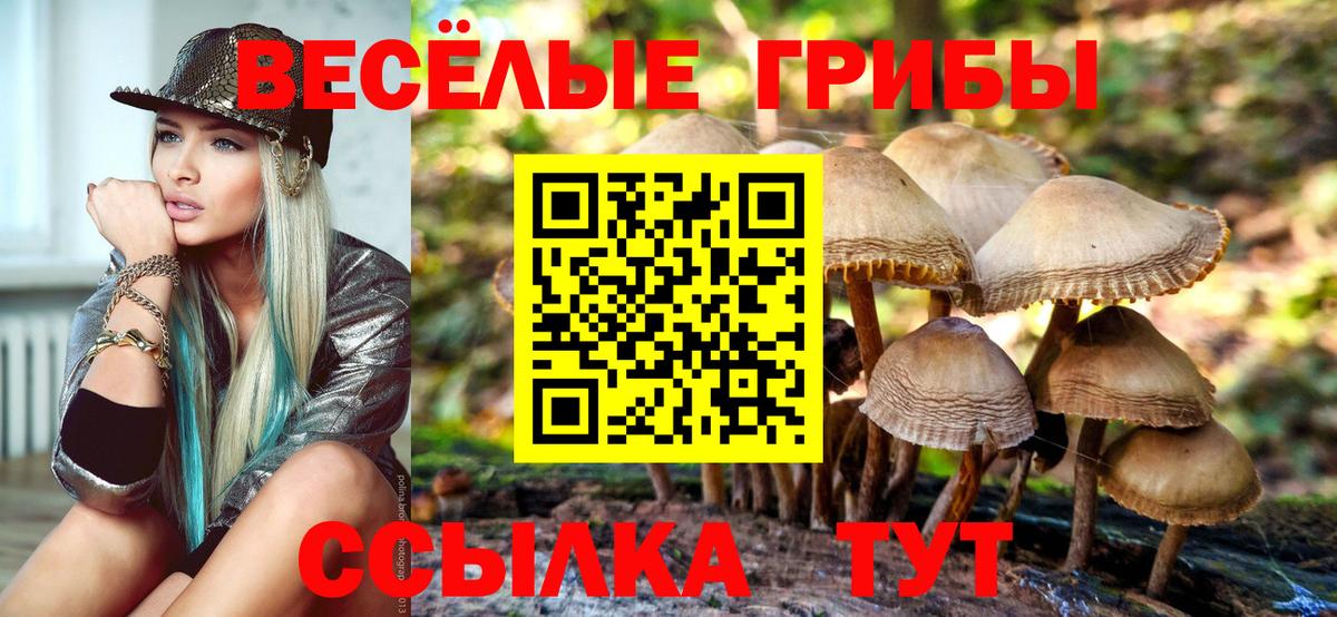 Псилоцибиновые грибы MAGIC MUSHROOMS Советск