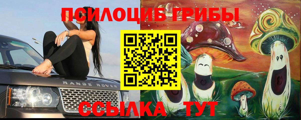 Советск  Галлюциногенные грибы MAGIC MUSHROOMS  Вход с VPN 